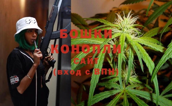 крисы Белокуриха