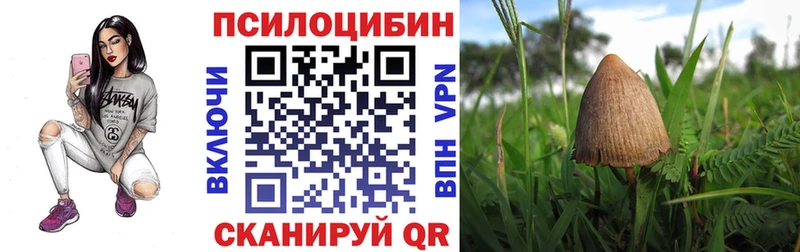 Галлюциногенные грибы мицелий OMG tor Жиздра